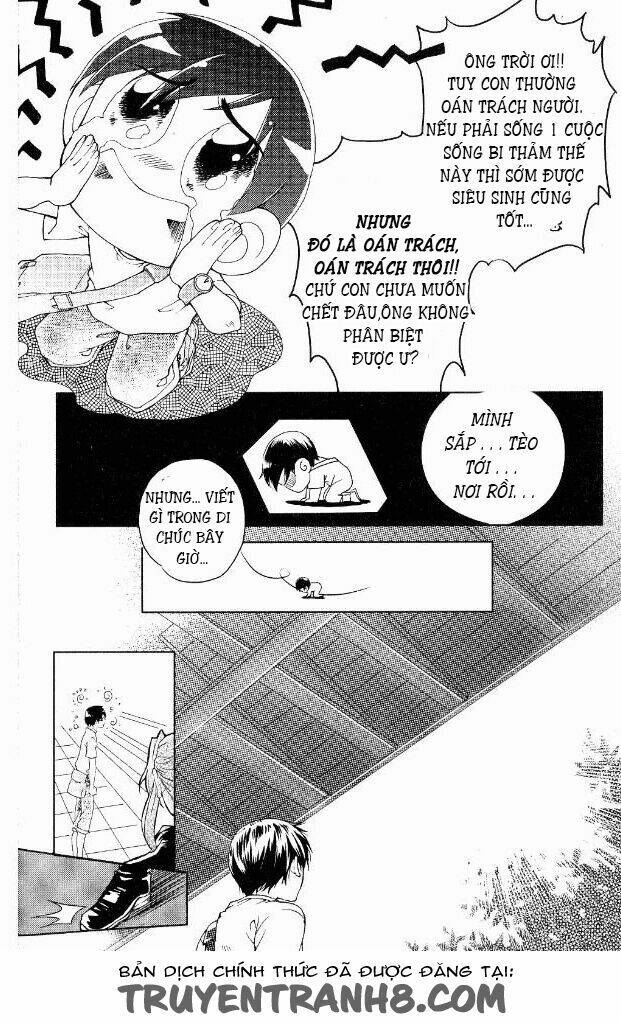 page_19.jpg