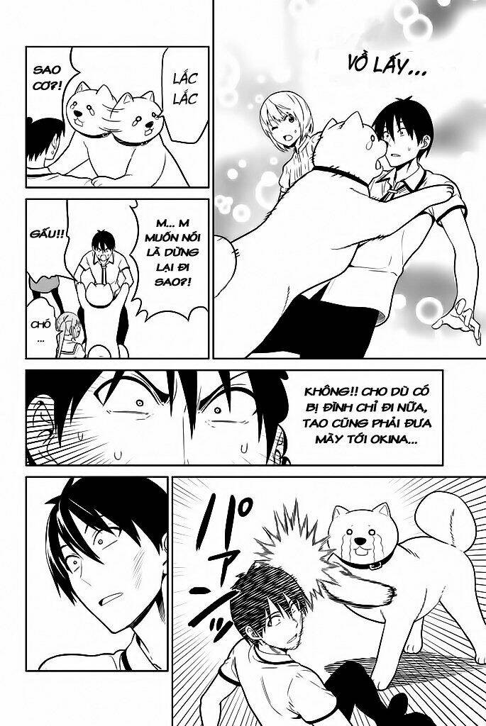 page_13.jpg