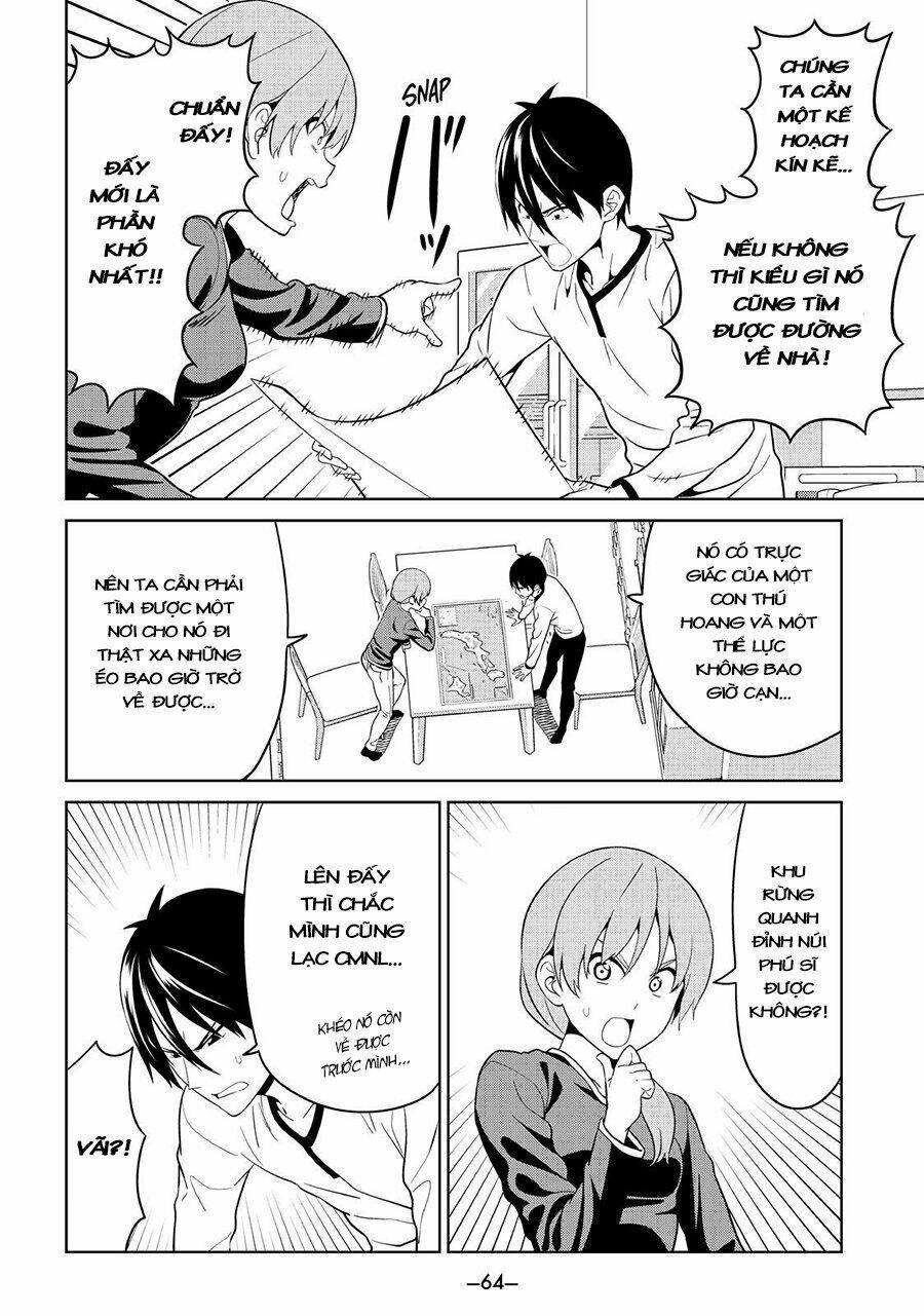 page_11.jpg