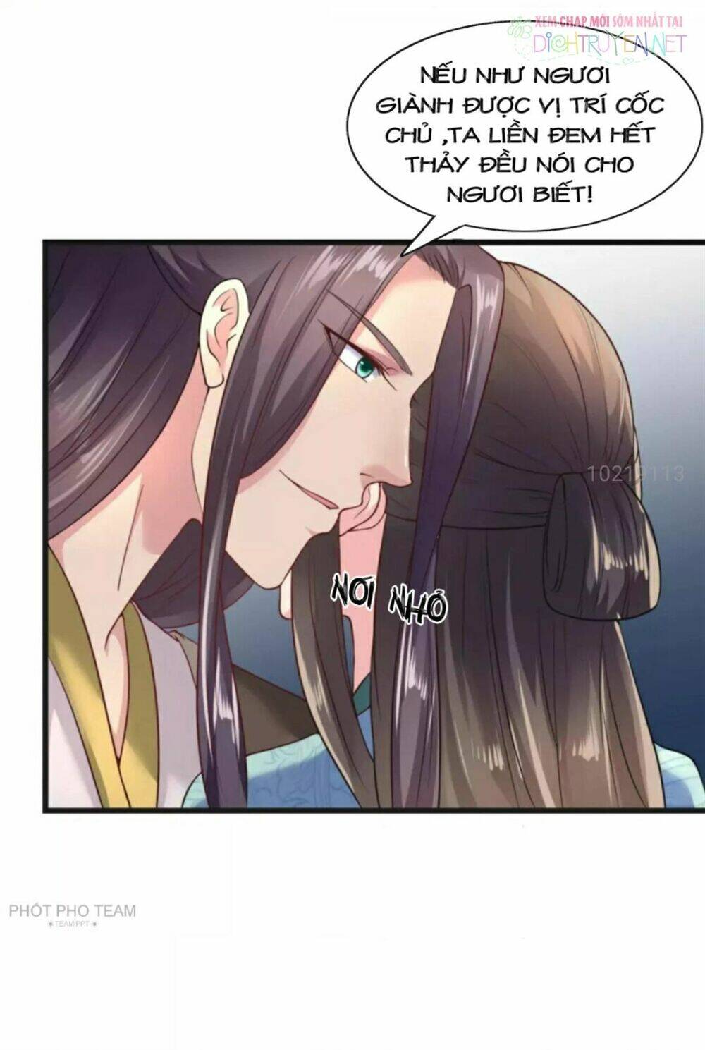 page_29.jpg
