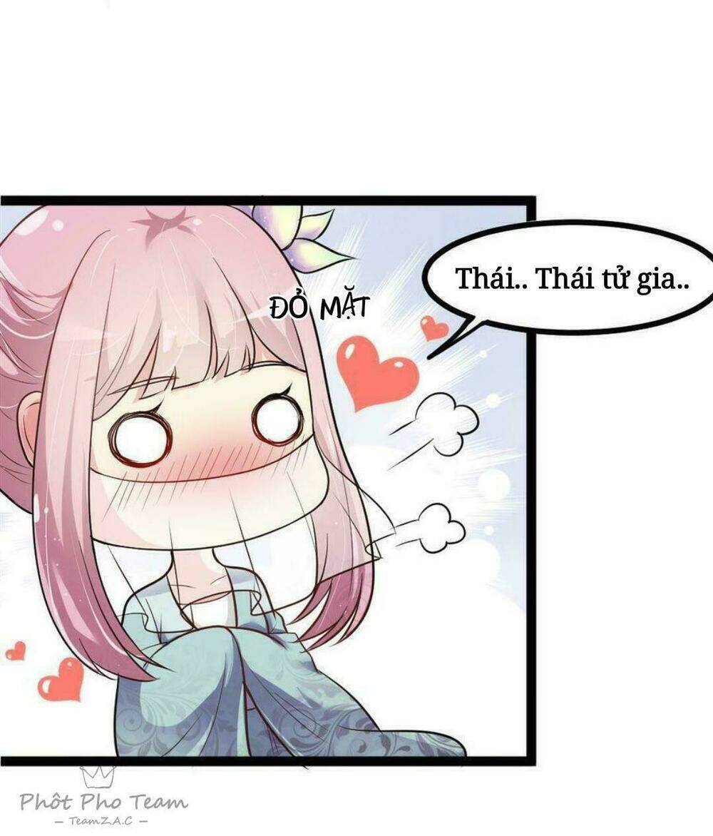 page_13.jpg