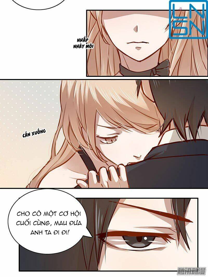 page_19.jpg