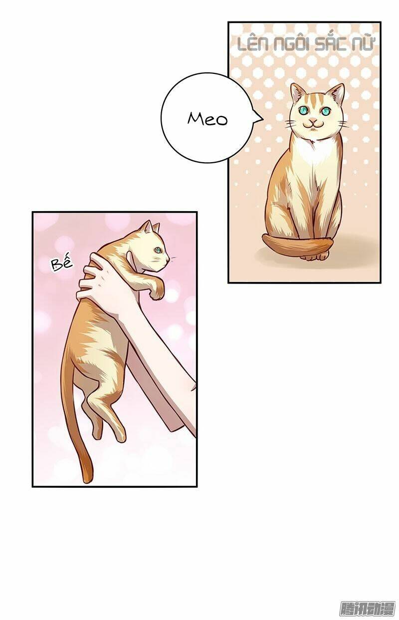 page_20.jpg