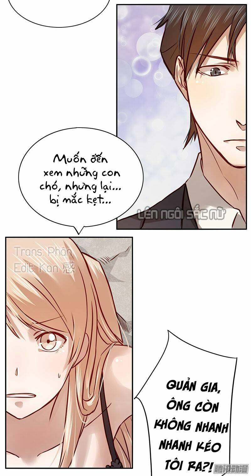 page_20.jpg