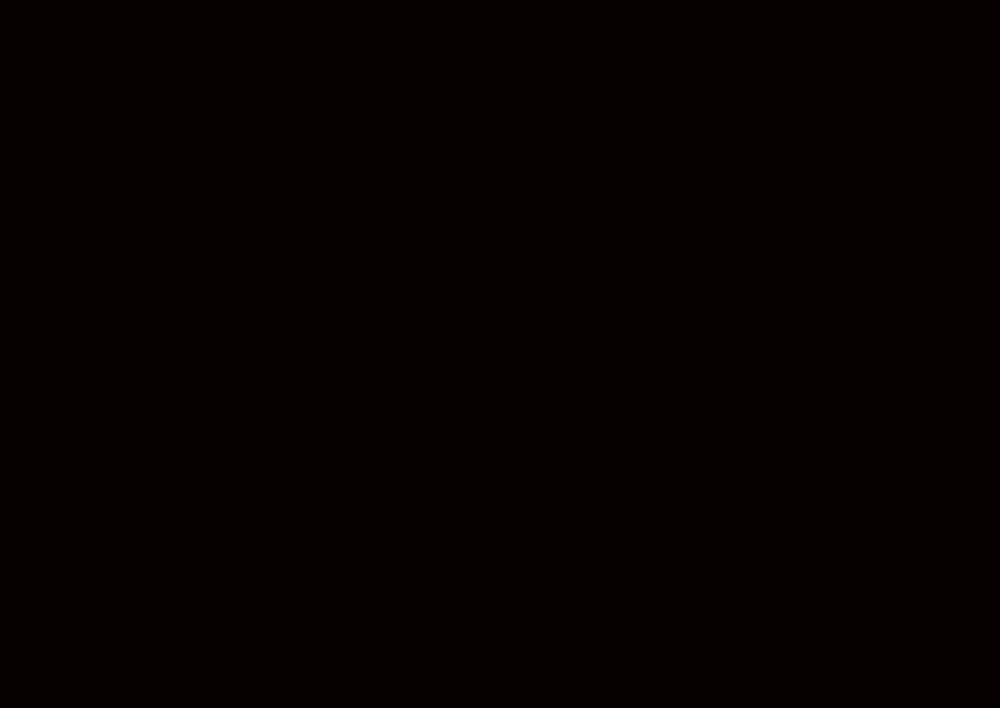 page_17.jpg