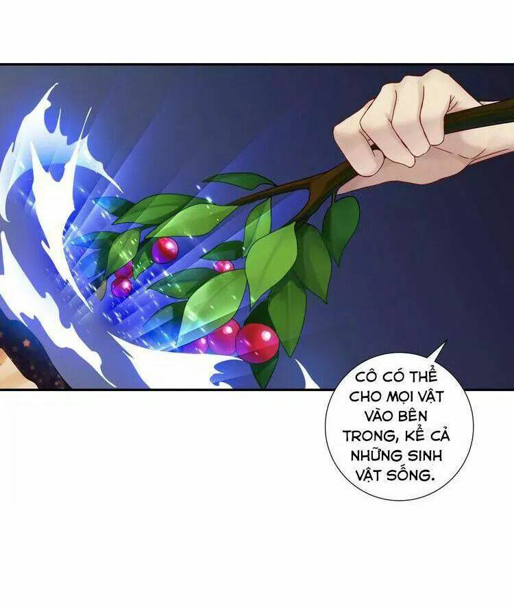 page_28.jpg