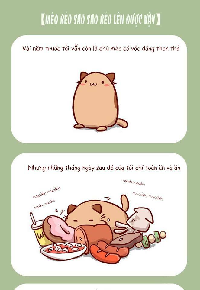page_3.jpg