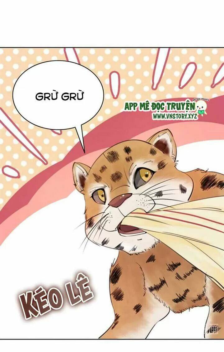 page_19.jpg
