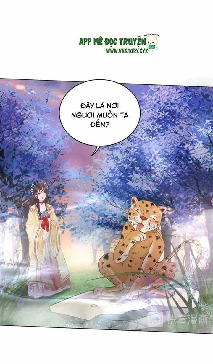 page_24.jpg