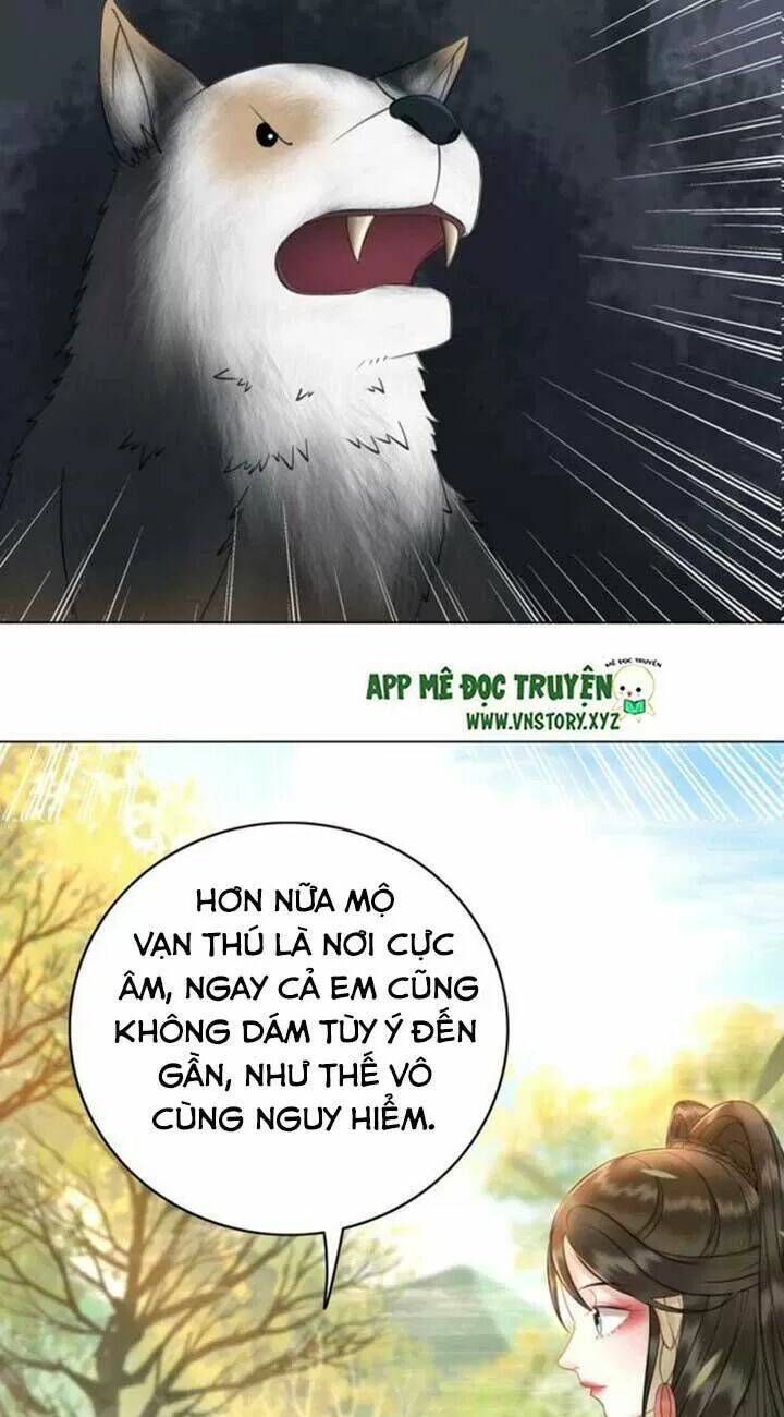 page_31.jpg