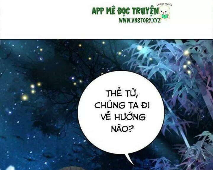 page_43.jpg