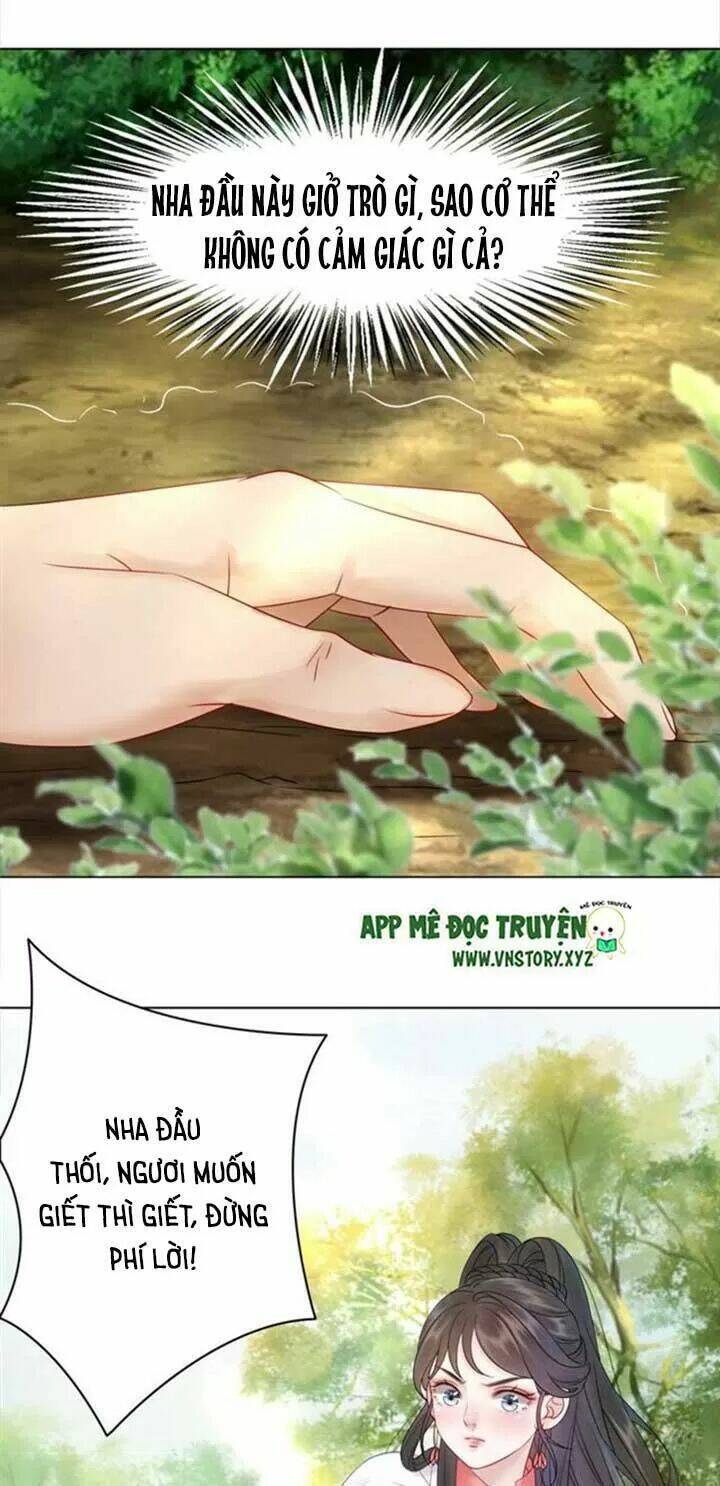 page_29.jpg