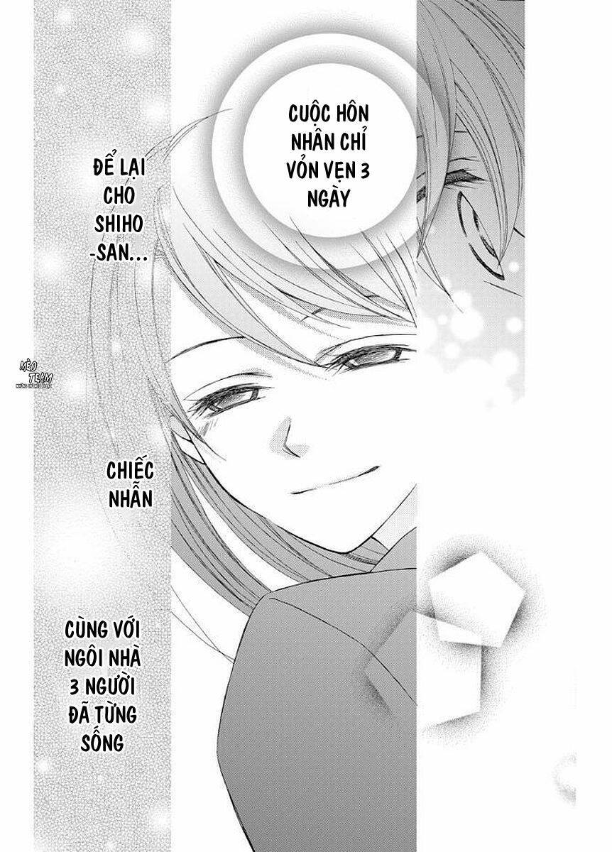 page_39.jpg