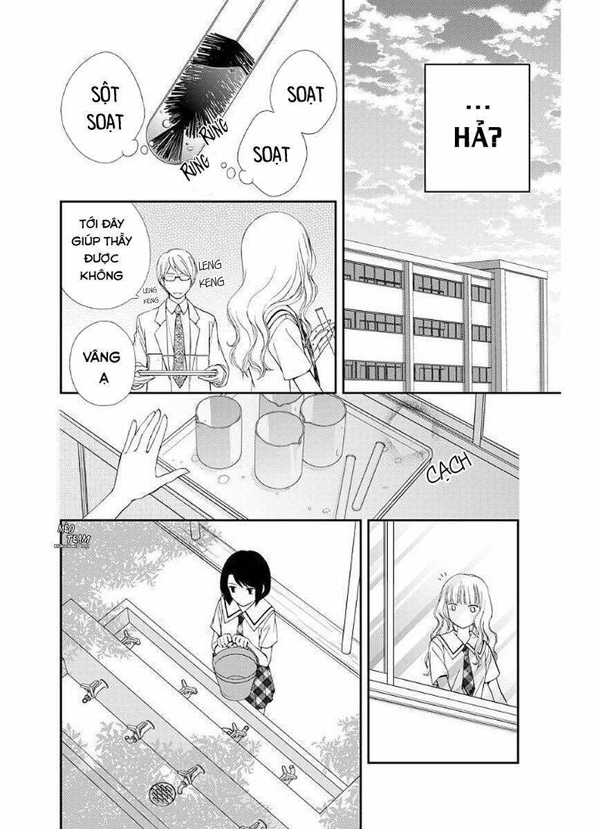 page_21.jpg