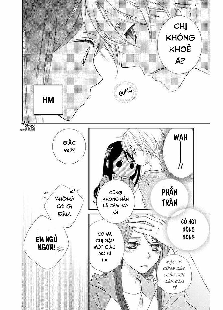 page_20.jpg