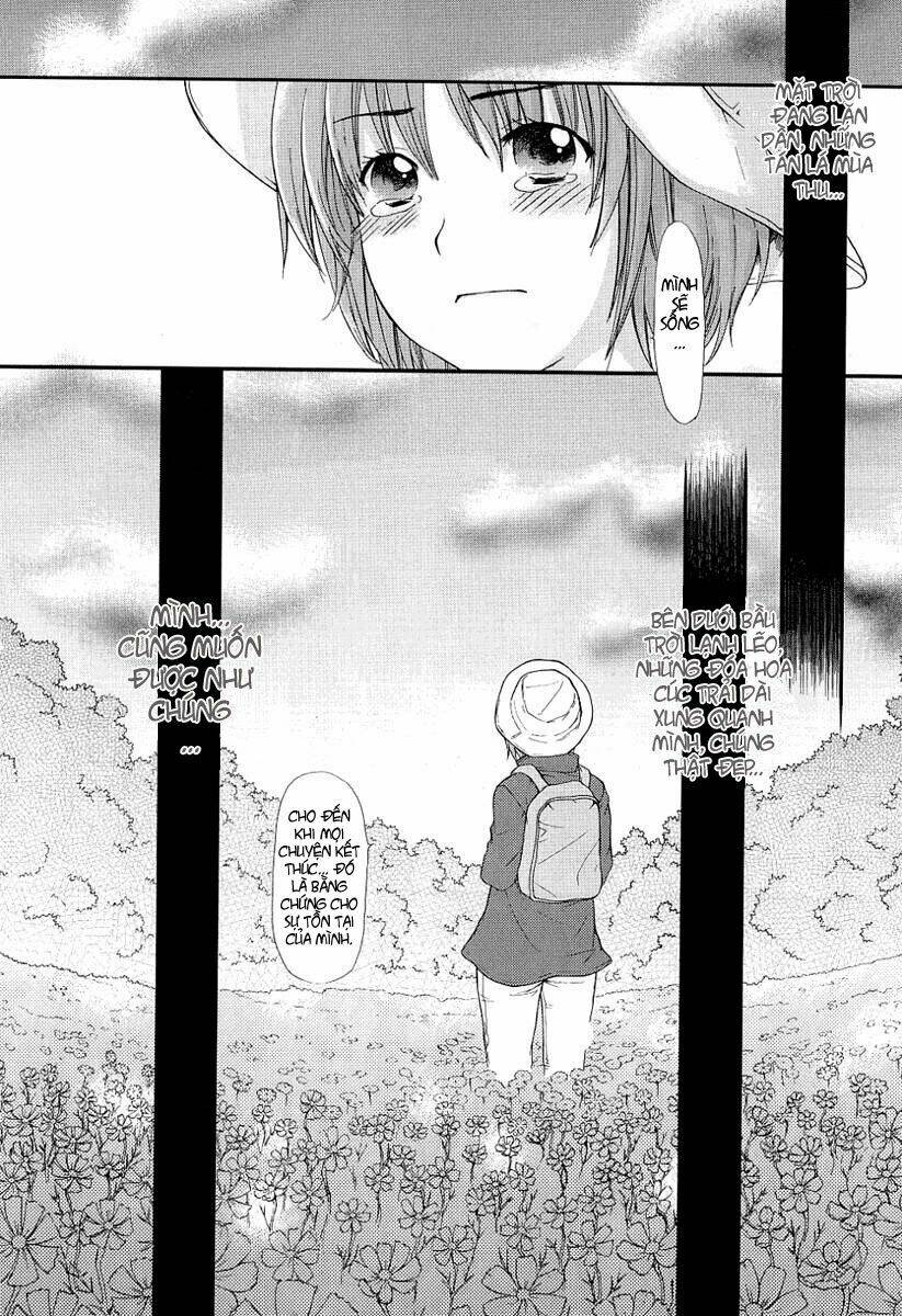 page_24.jpg