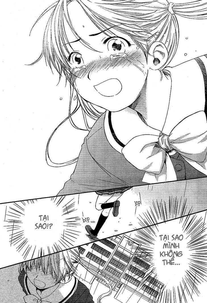 page_21.jpg