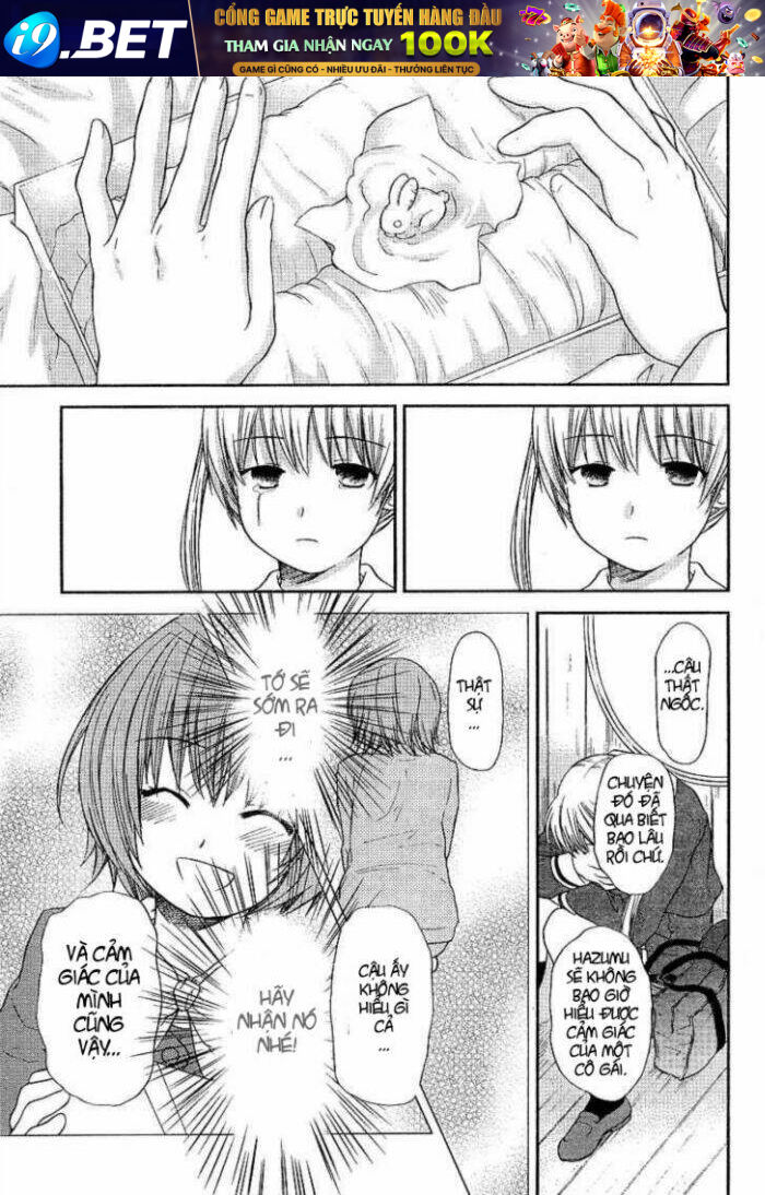 page_17.jpg
