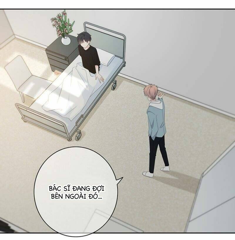 page_19.jpg