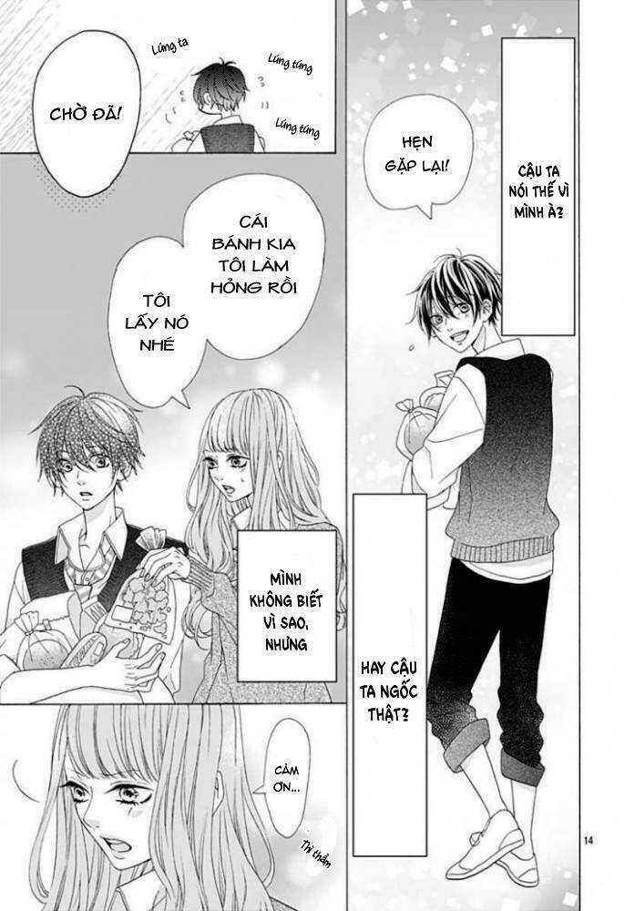 page_16.jpg