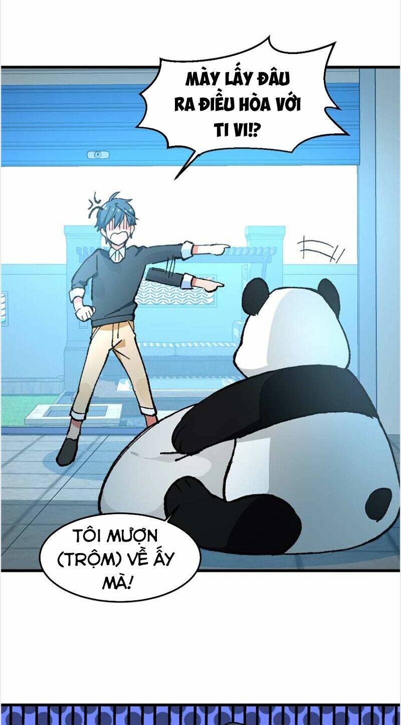 page_19.jpg