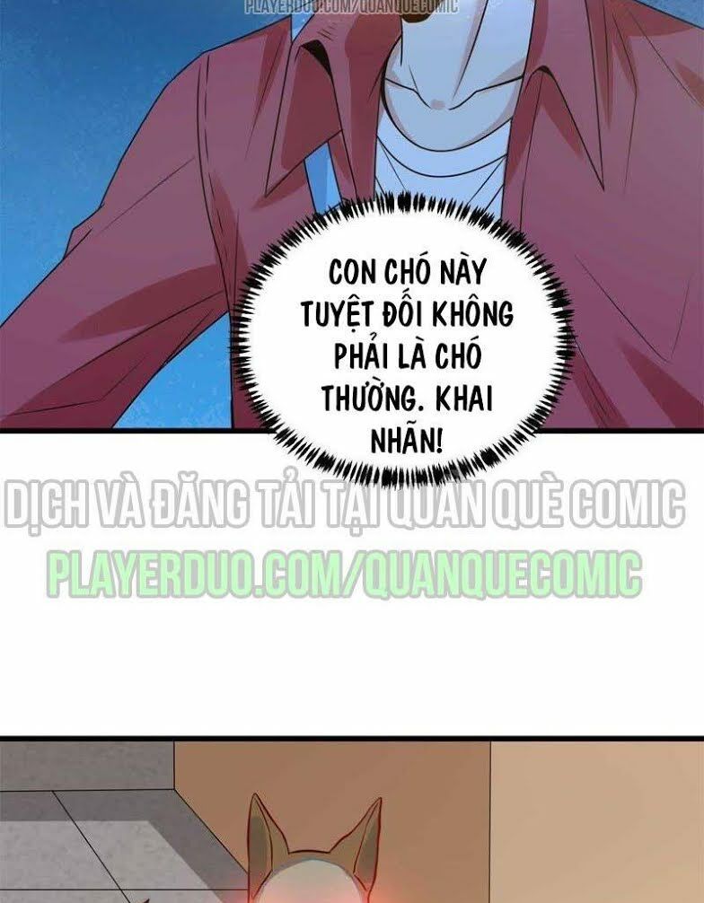 page_19.jpg