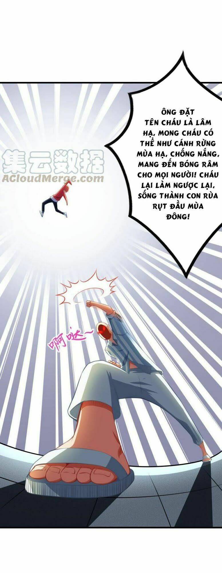 page_13.jpg