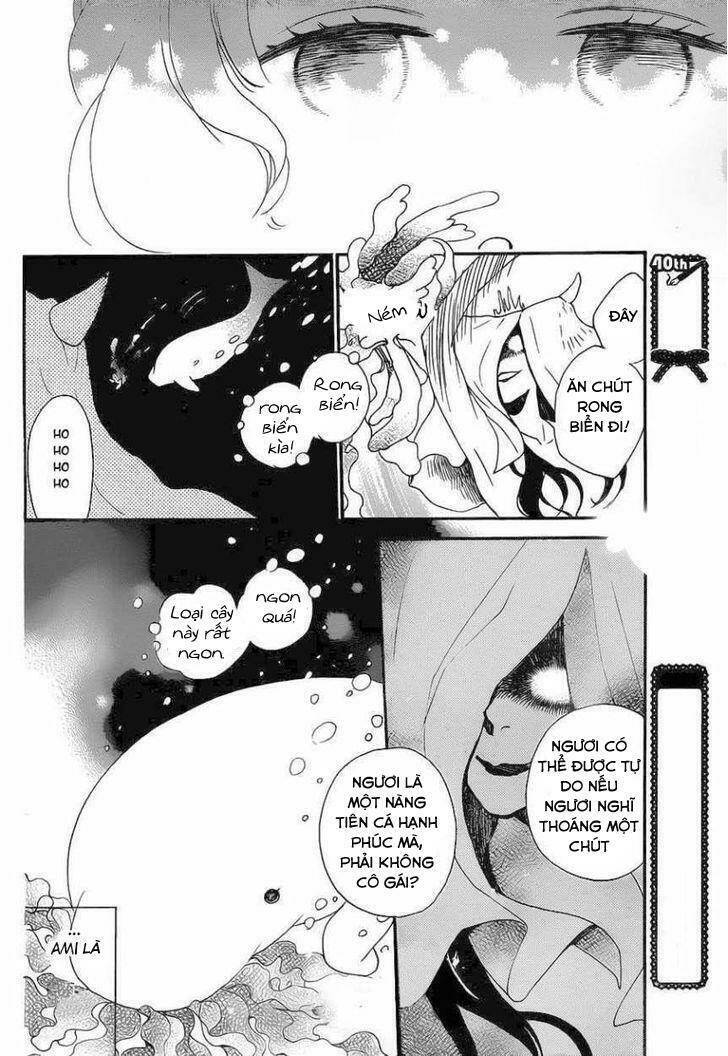page_11.jpg