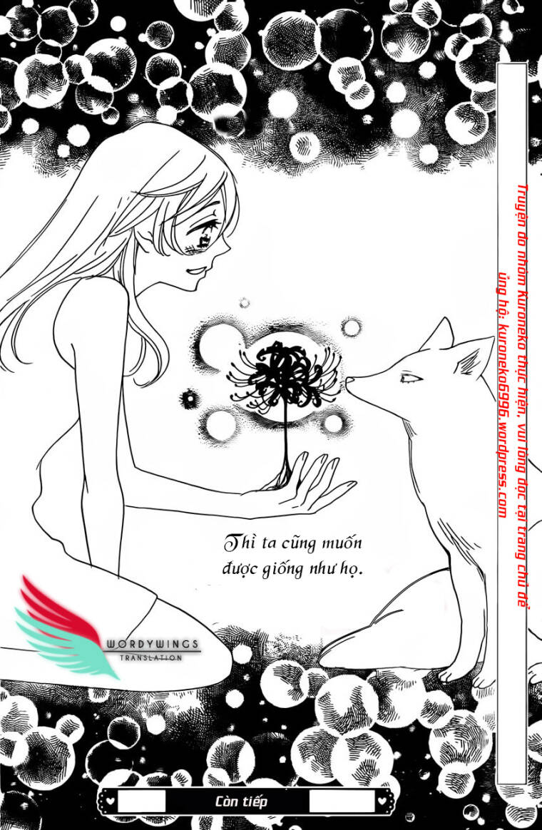 page_36.jpg