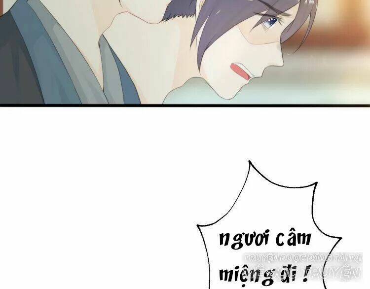 page_61.jpg