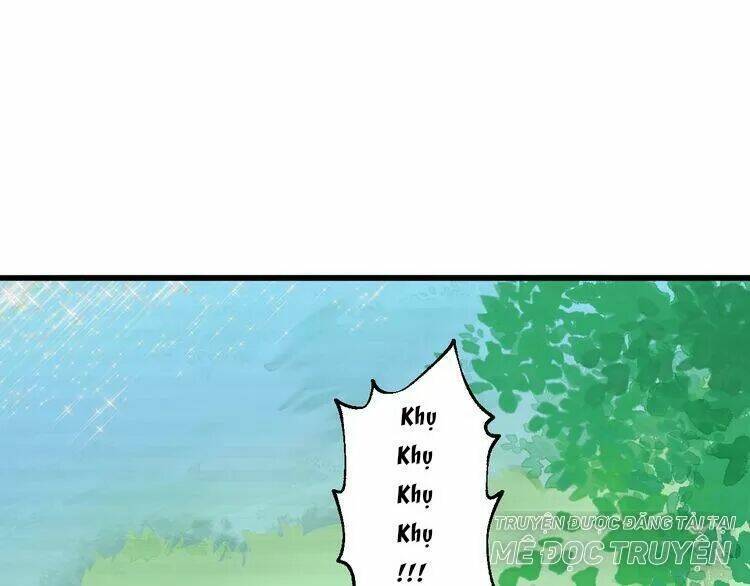 page_31.jpg