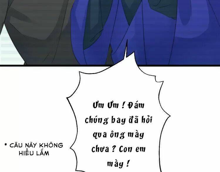 page_62.jpg