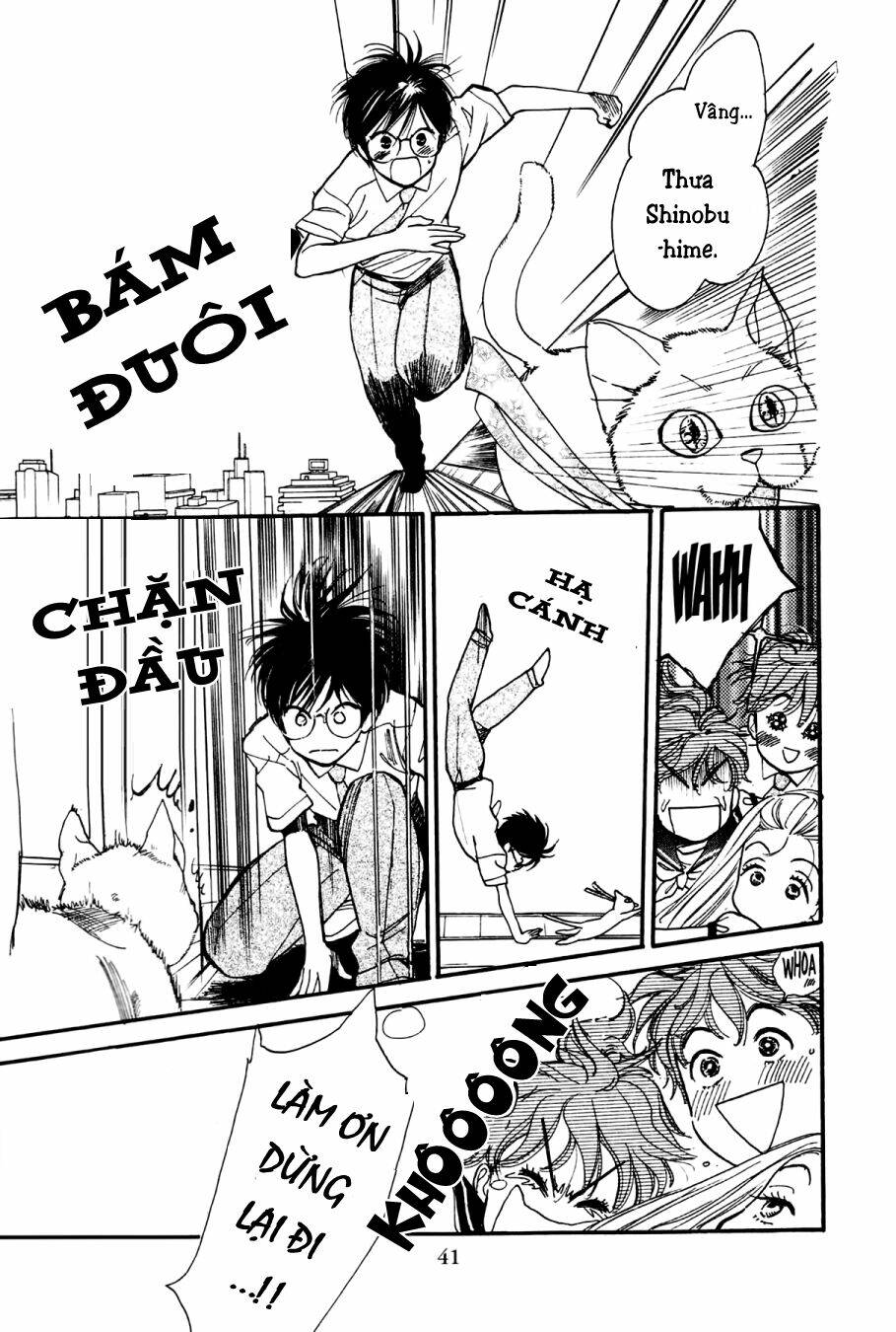 page_8.jpg