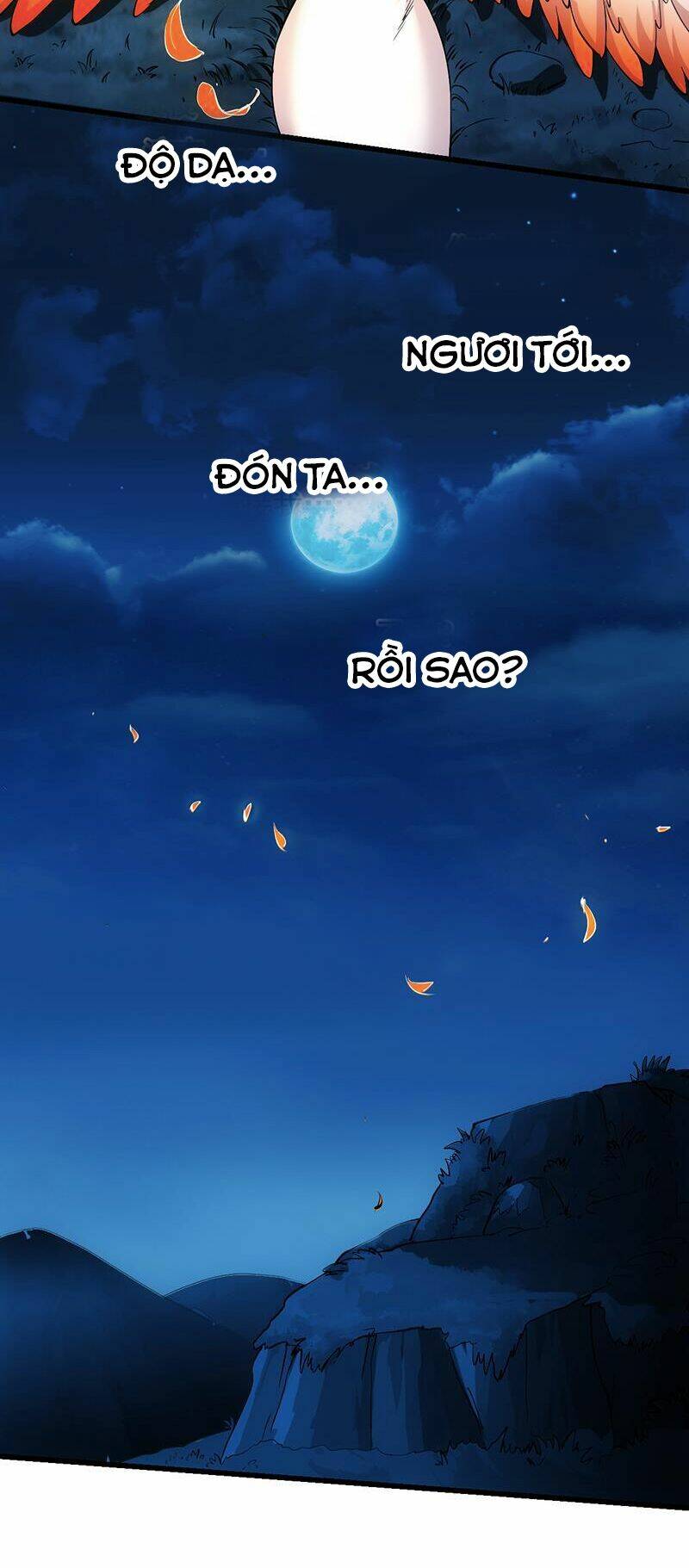 page_14.jpg