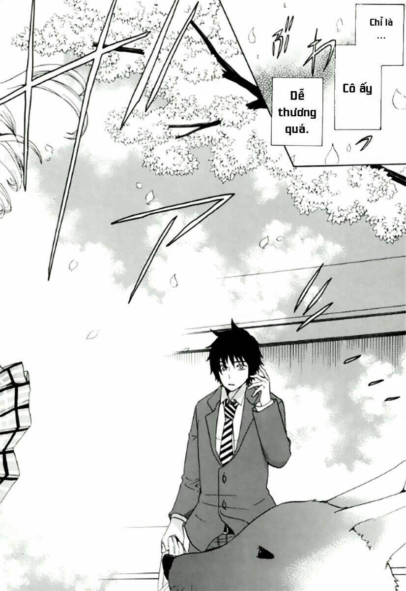 page_29.jpg