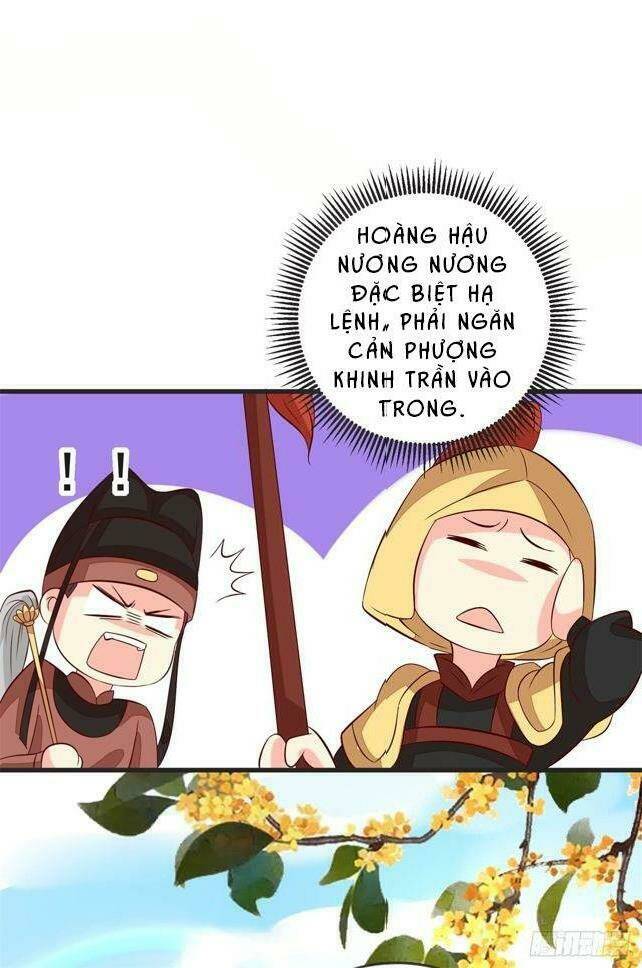 page_23.jpg