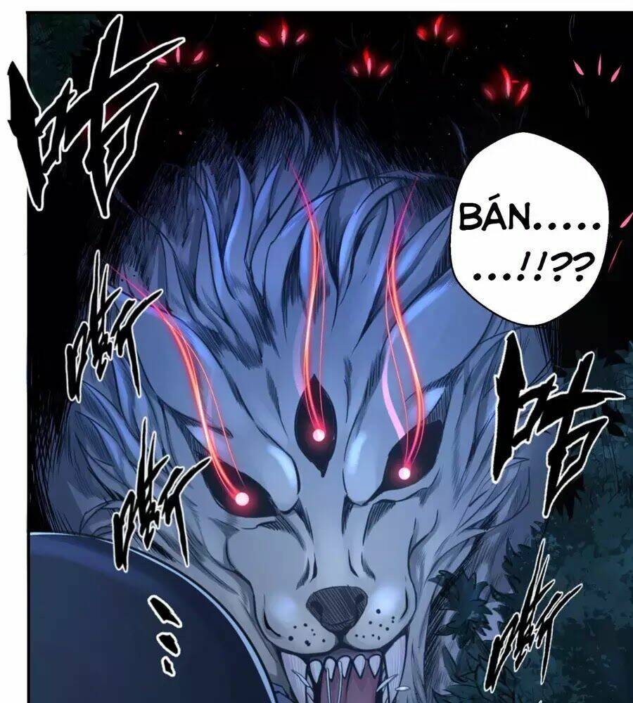 page_16.jpg