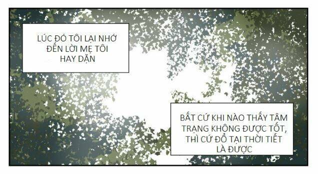 page_26.jpg