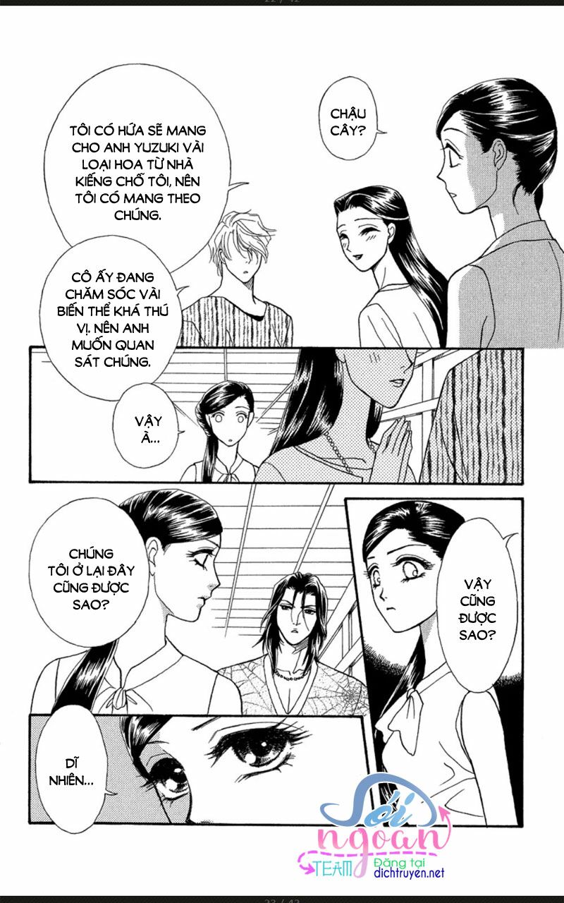 page_16.jpg