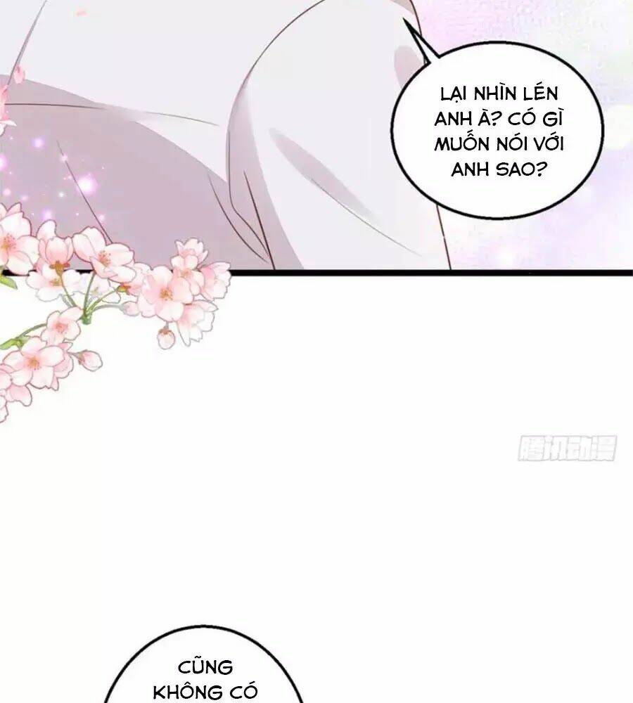 page_24.jpg