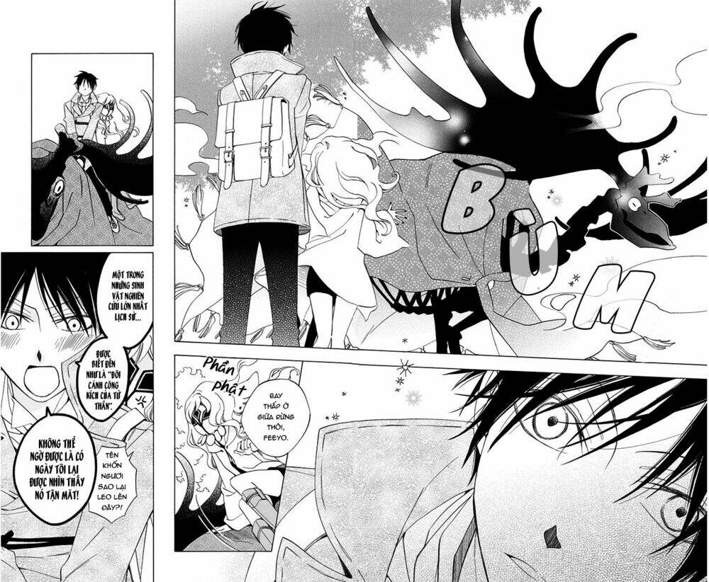 page_11.jpg