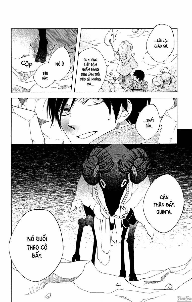 page_19.jpg