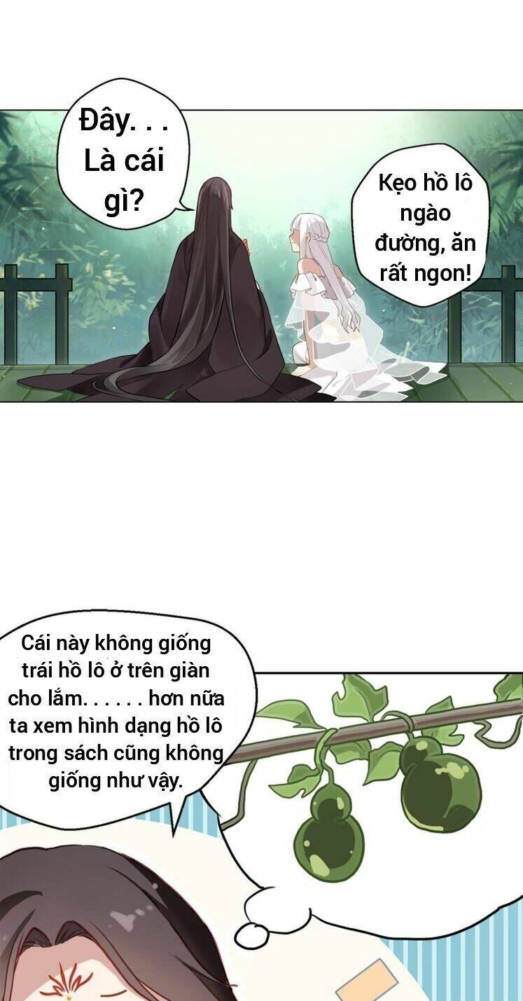 page_26.jpg