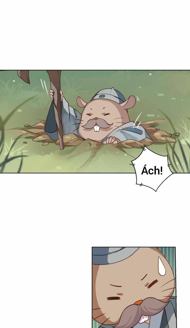 page_40.jpg