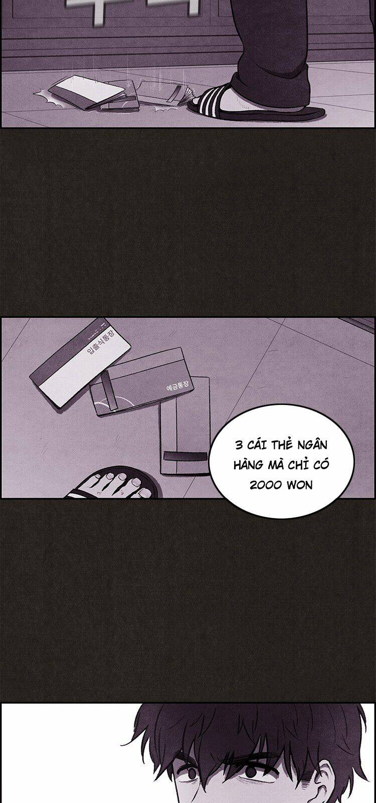 page_29.jpg