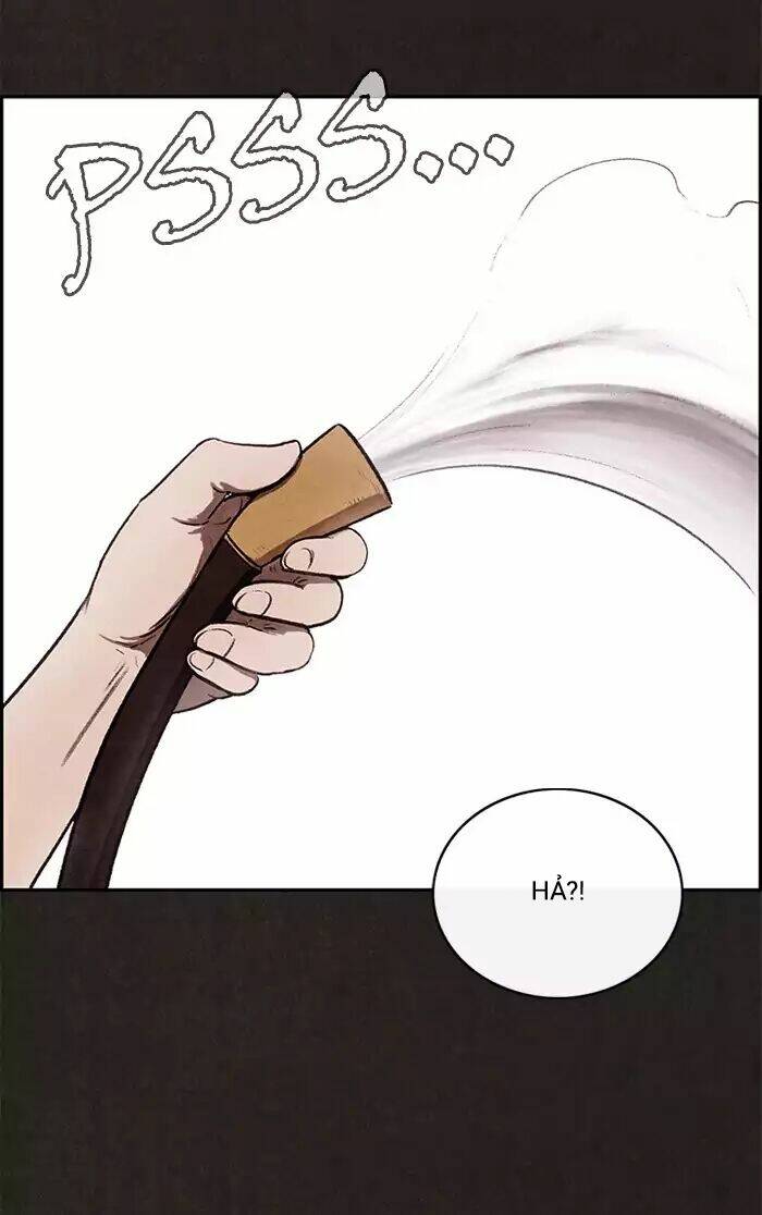 page_55.jpg