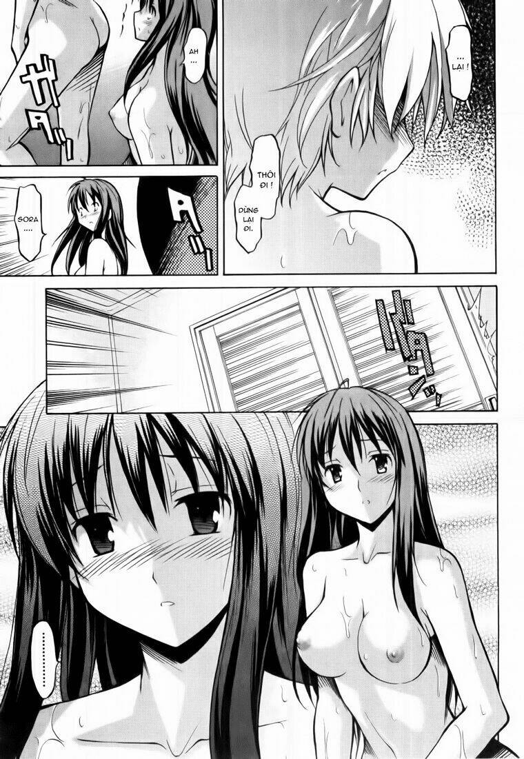 page_29.jpg