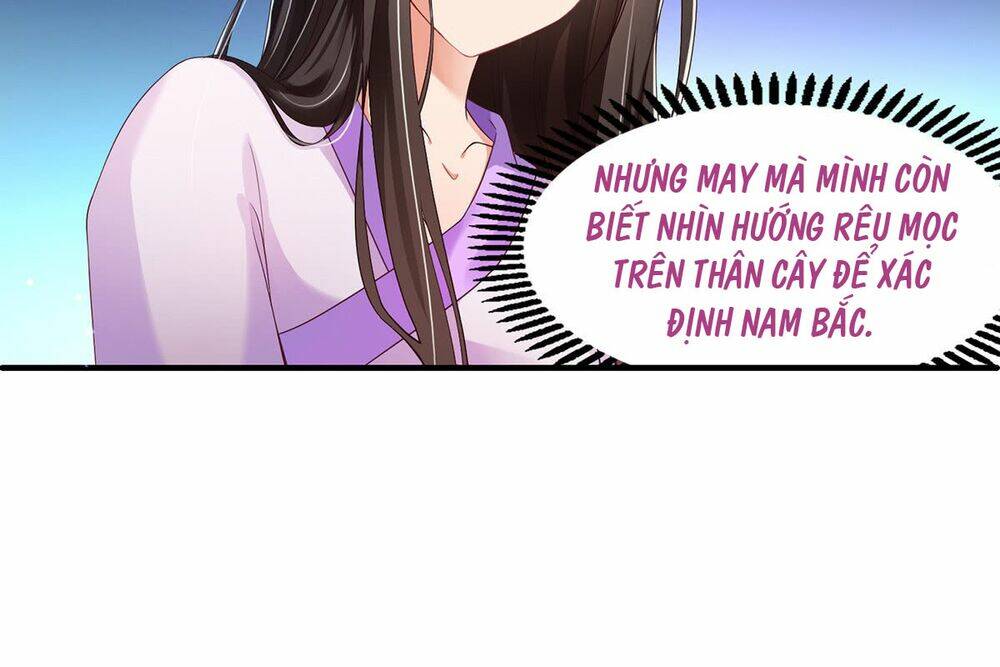 page_11.jpg