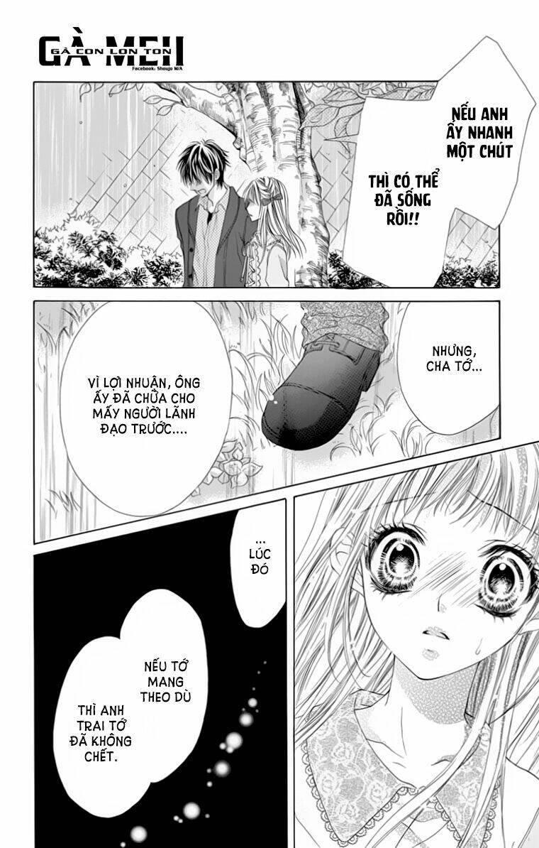page_29.jpg