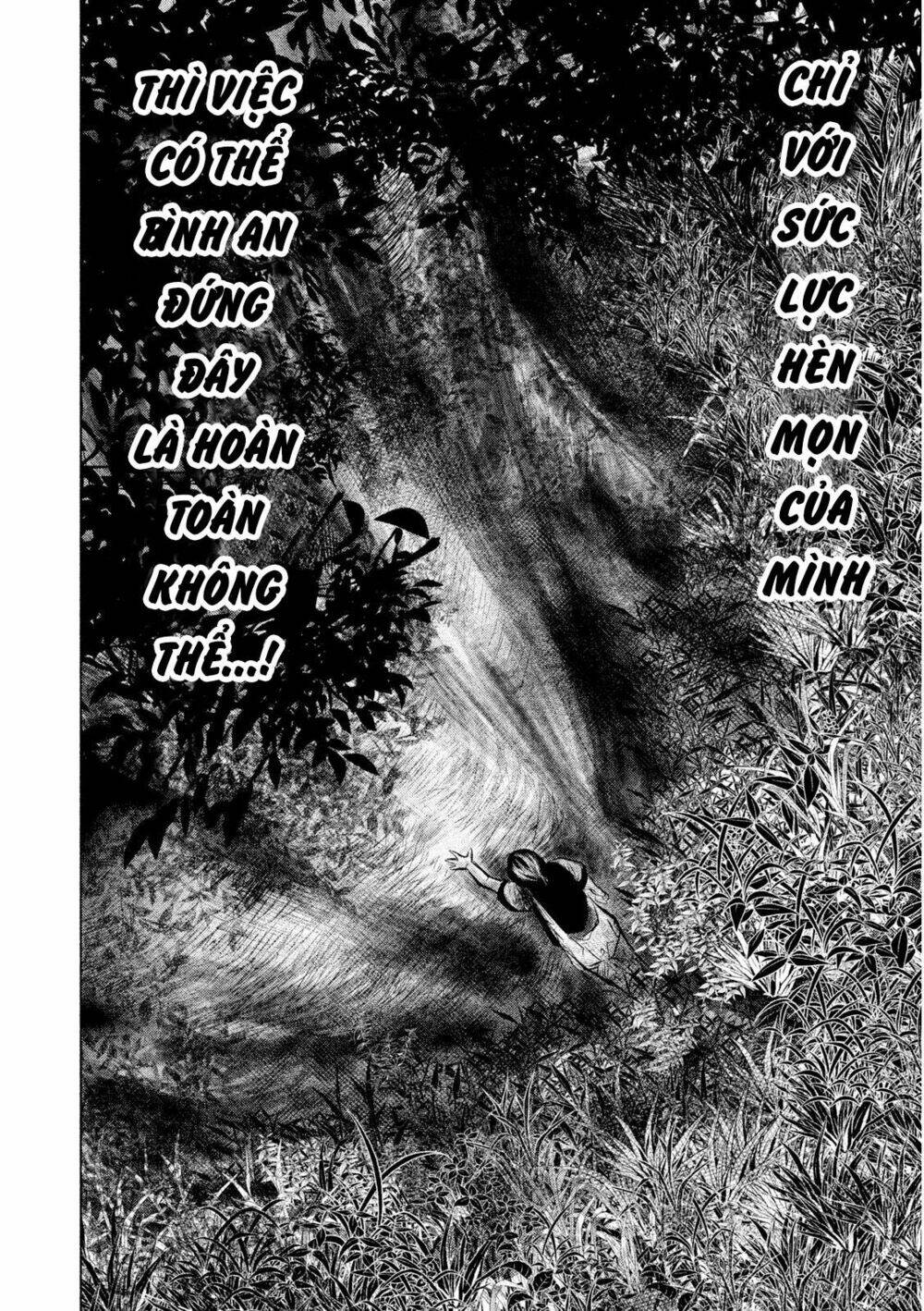 page_12.jpg